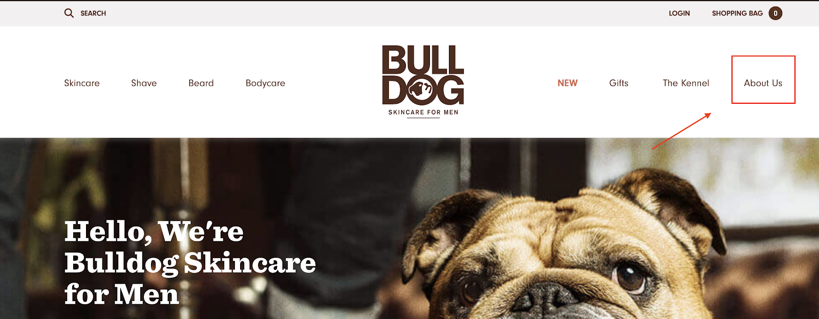 Bulldog Skincare about page