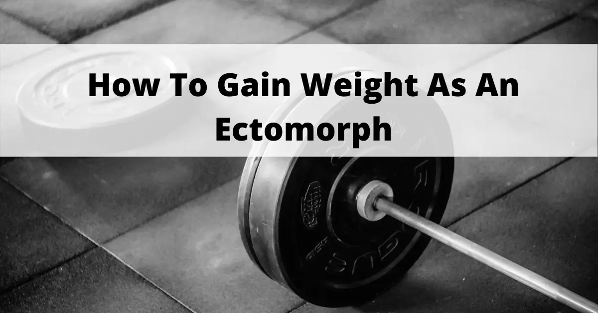 gain weight as an ectomorph