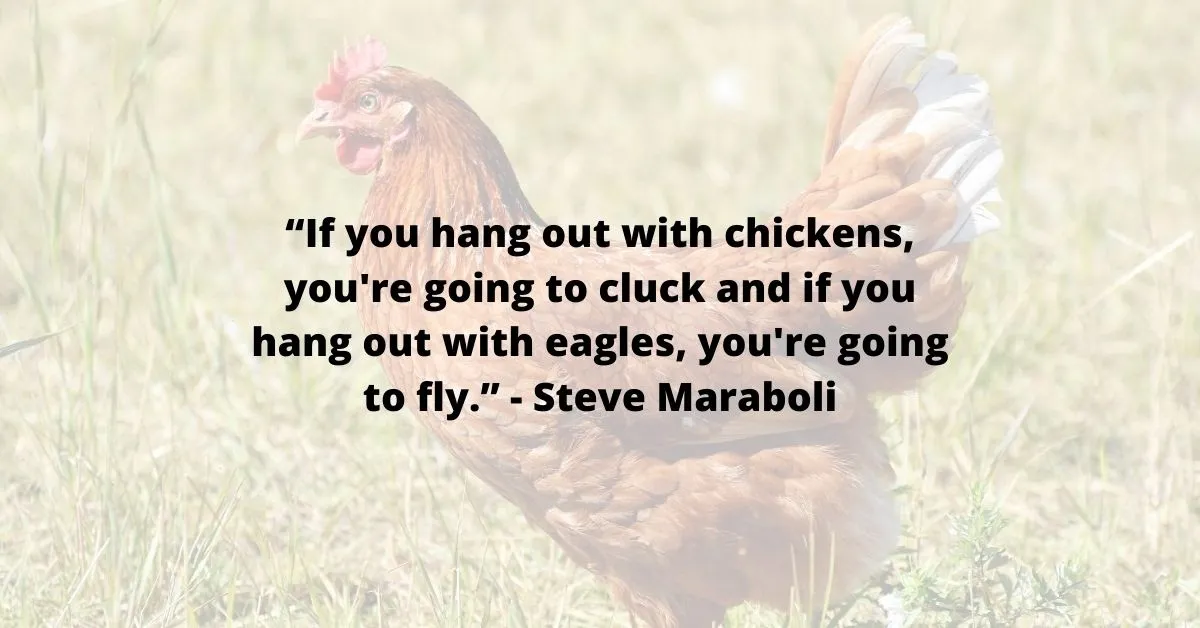 steve maraboli quote