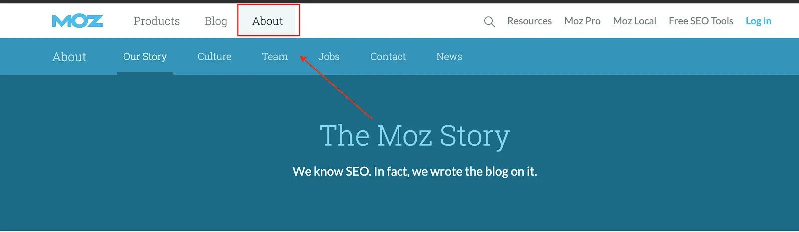 Moz about page