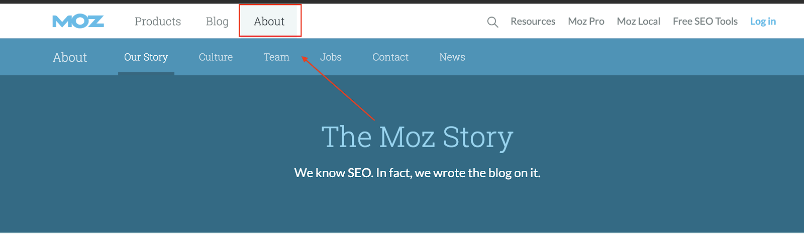 Moz about page