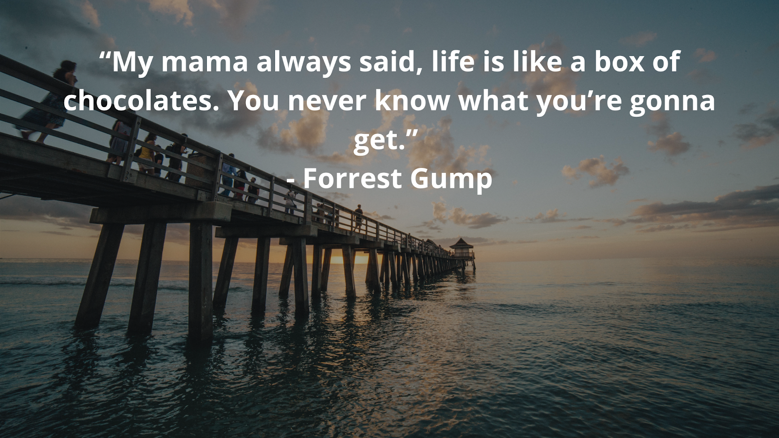 Forrest Gump Quotes